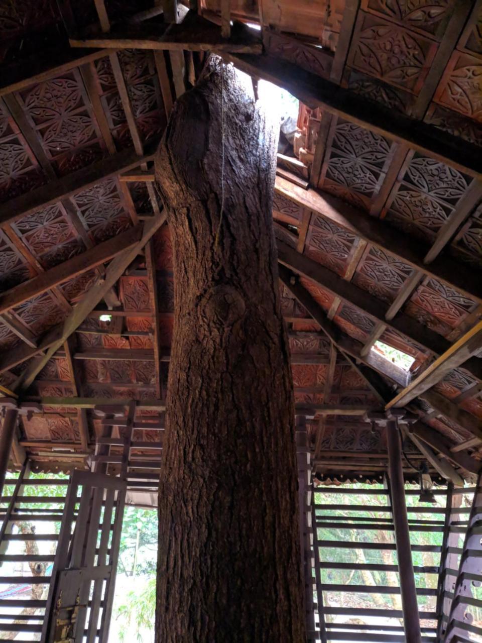 Arakkal Heritage マラリクラム エクステリア 写真